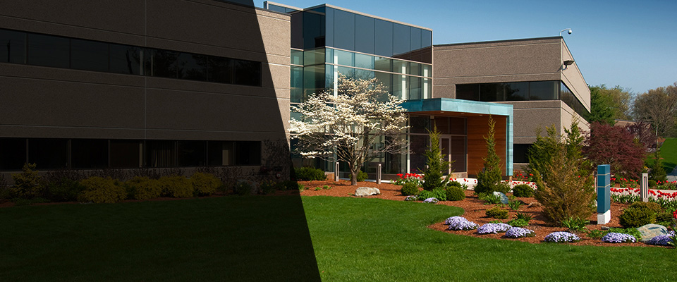 South Amboy Landscapers