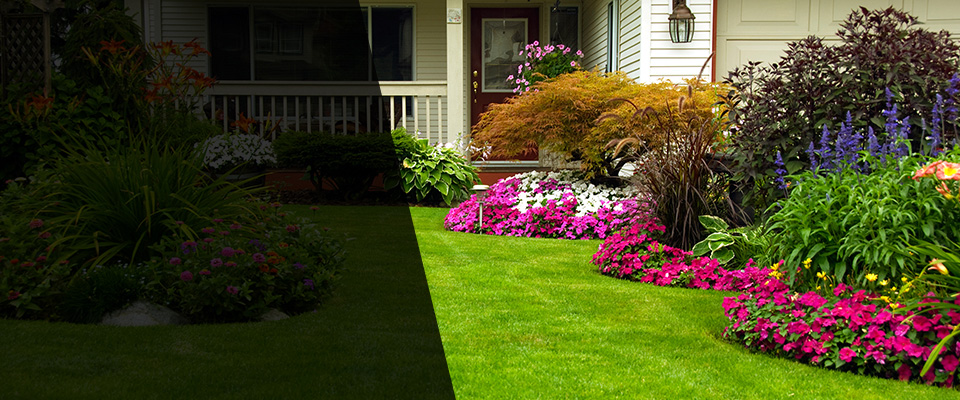 South Amboy Landscapers