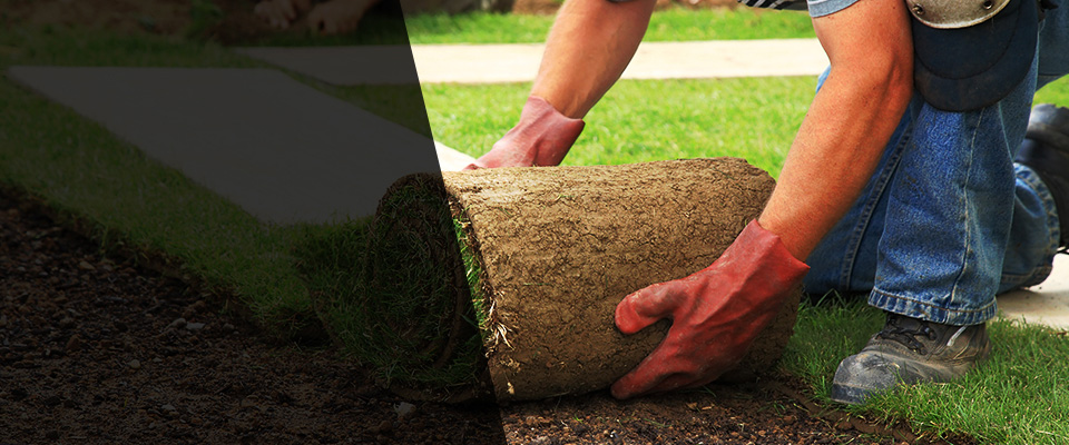 South Amboy Landscapers